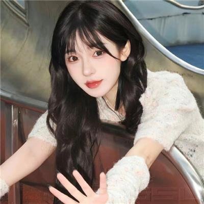 魔法师的猫