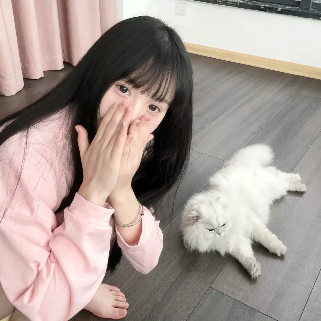 携带狗的猫